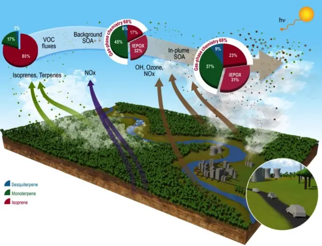 Um infográfico sobre o impacto da poluiçãobonanzagame casinoManaus na atmosfera amazônica, publicado na revista Nature Communications