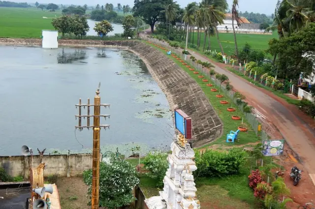 చెరువు గట్టు హరితవనంగా మారిన దృశ్యం