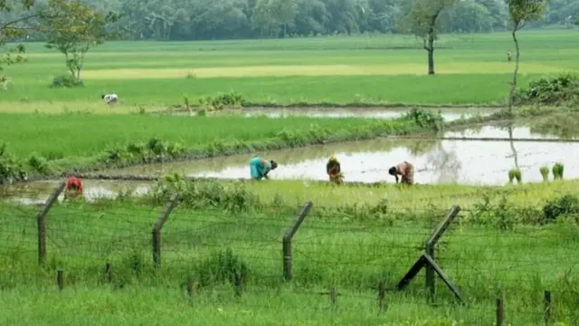 আসাম-বাংলাদেশ সীমান্তে কাঁটাতারের বেড়া।