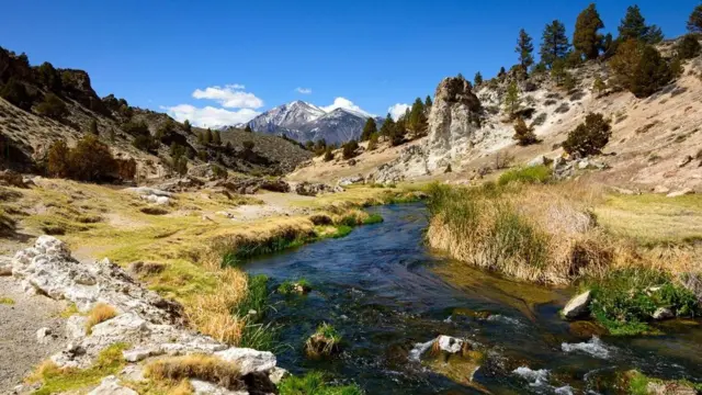 （圖片來源: Zack Frank）