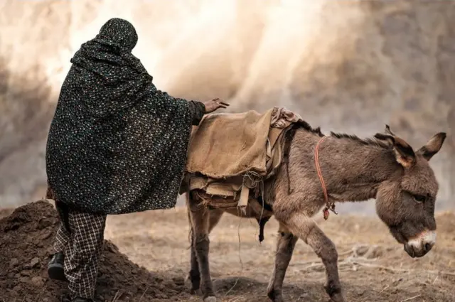 खेतों में काम करती महिला