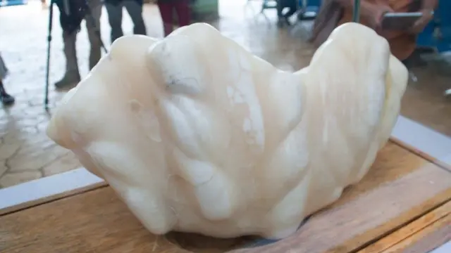 Perla gigante de 34 kilos expuesta en Puerto Princesa