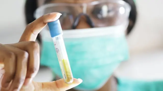 நோய் எதிர்ப்பு மண்டலத்தைத் தூண்டுதல்