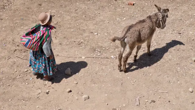 Uma mulher da etnia aymara, da Bolívia, vestidanovibet demora saqueestilo camponês, com saias, um grande pano colorido amarrado no pescoço como uma mochila e um chapéu, pastoreando um burro