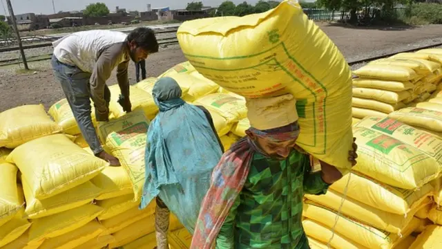 యూరియా కొరత తెలంగాణ రైతులు వ్యవసాయం
