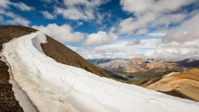 （图片来源：Vivien Cumming）