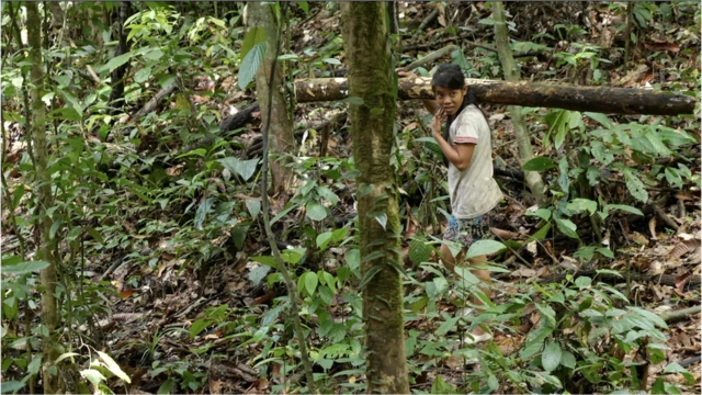 Punan Batu, Kalimantan, lingkungan, adat