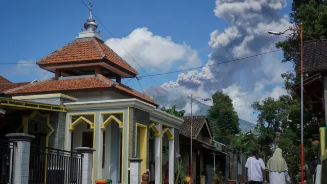 virus corona, bencana alam, pengungsian