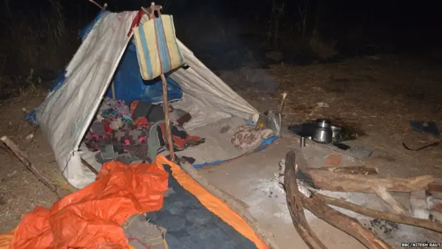 आदिवासी पाल टाकून राहत आहेत.