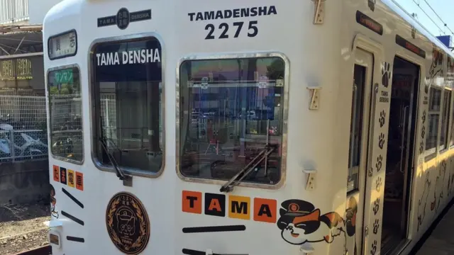 القطة التي أنقذت خطا للسكك الحديدية في اليابان