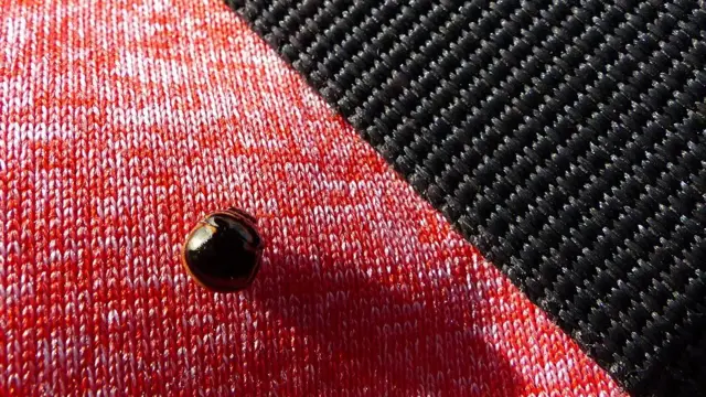 Insecto sobre un tejido.