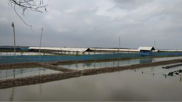 কাঁকড়া