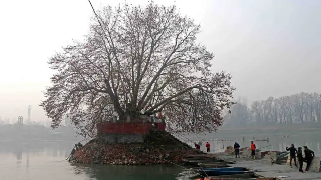 कश्मीर में पुष्कर मेला