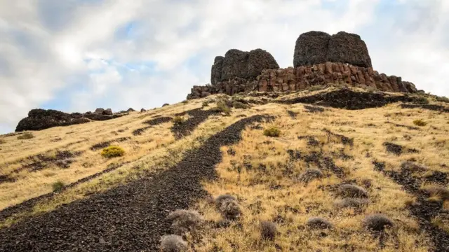 （圖片來源：Zack Frank）