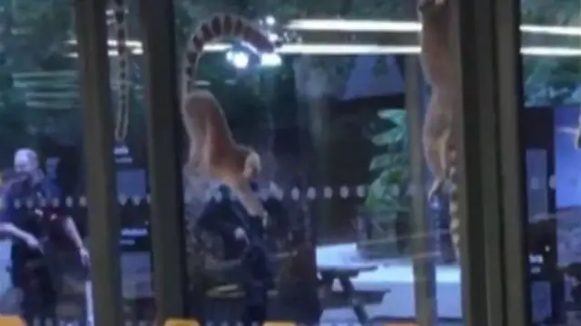 لندن چڑیا گھر