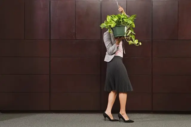 Una ejecutiva cargando una planta, con la cual se tapa la cara