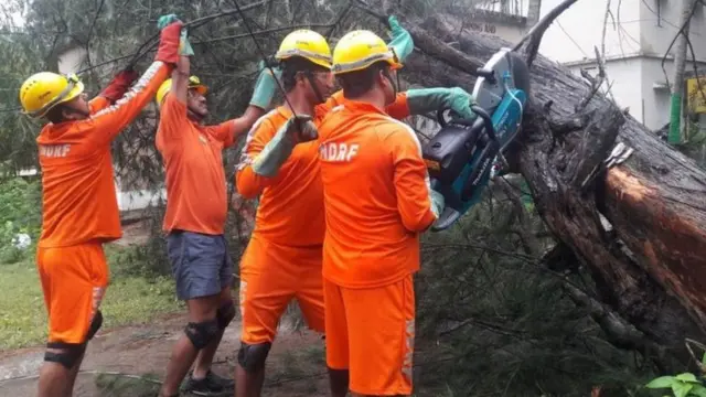 என்டிஆர்எப்