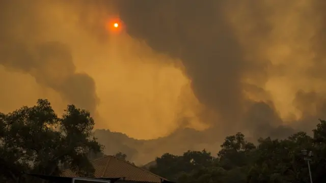 Llamas cubriendo Malibú