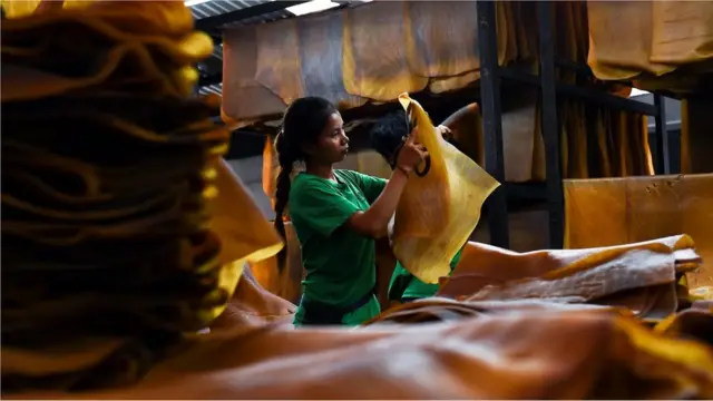 రబ్బరు సంక్షోభం