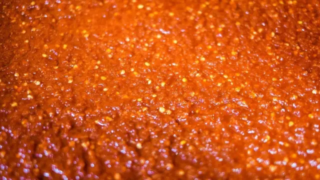 （图片来源：Lance Henderstein）