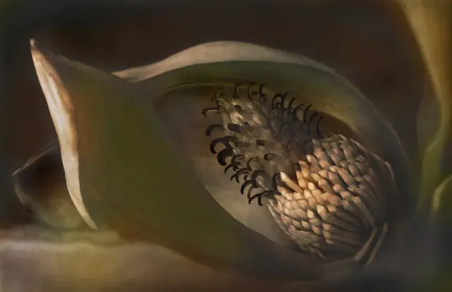 Little Boy II by Bert Shankman