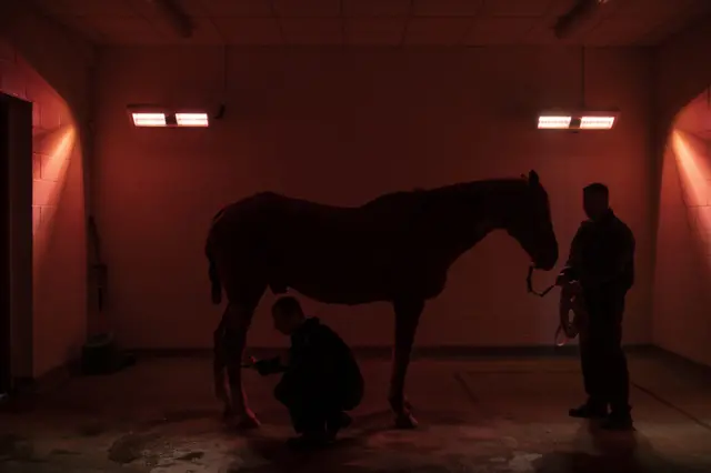 ultrazvuk konja u engleskoj