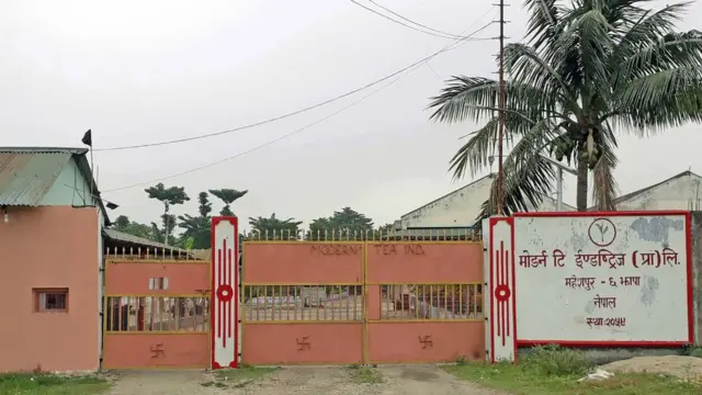 बगानसंगै चिया उद्योग समेत बन्द छन्।