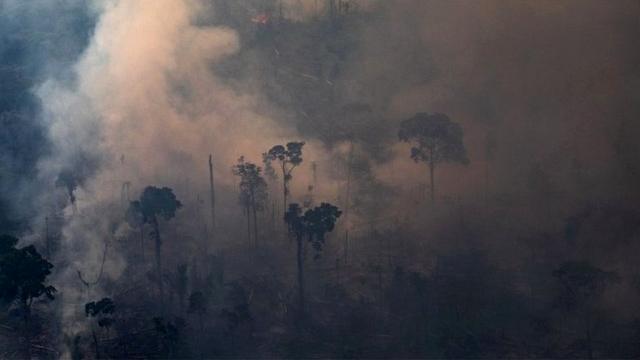 Foto aérea mostra floresta amazônica sendo queimada, repletajogos de bolinhos coloridas gratisfumaça