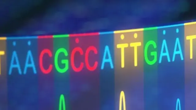 டி.என்.ஏவின் நான்கு தளங்கள்