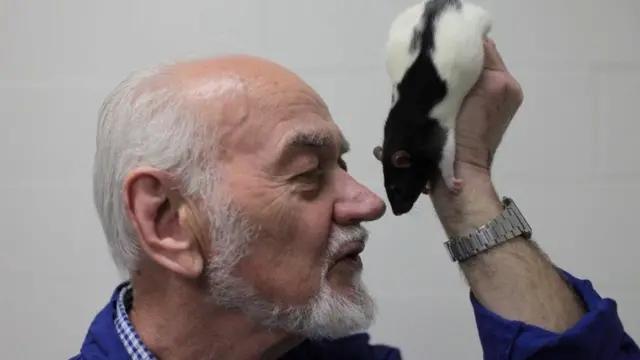 Джаак Панксепп с крысой