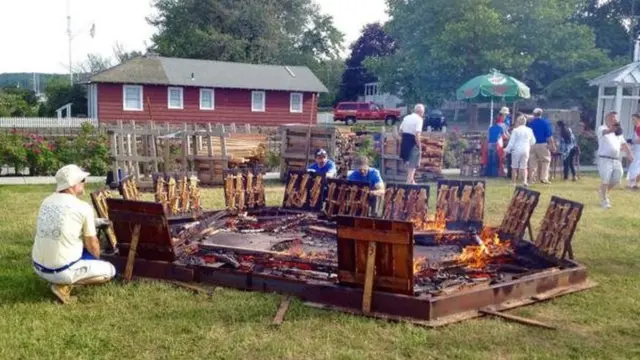 शैड मछली