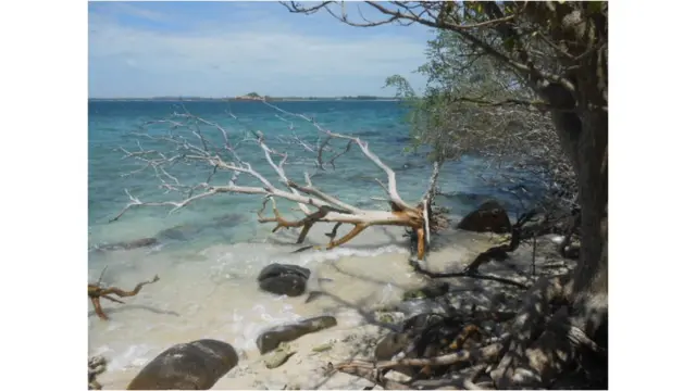 අස්ඵස්ඵස්ෆ්