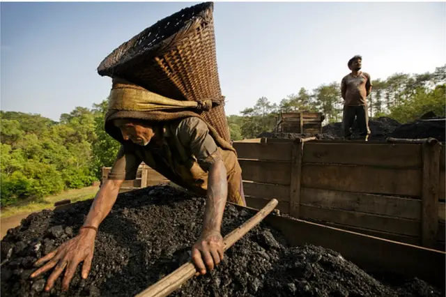 మేఘాలయ కోల్ మైనింగ్