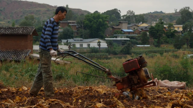 코로나19로 변한 우한의 일상