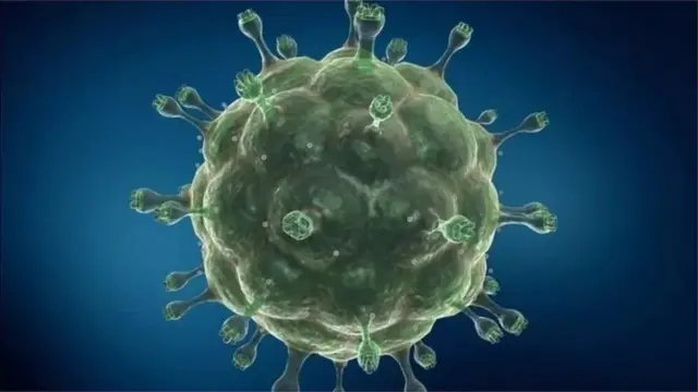 انفیکشن، سیکس