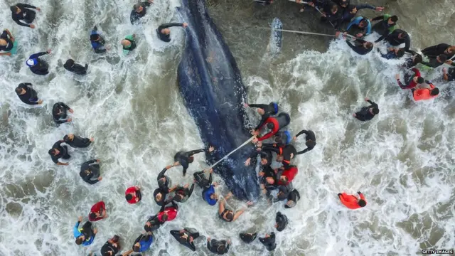 ਕੋਰੋਨਾਵਾਇਰਸ