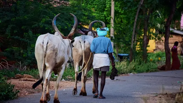 வினோத் கண்ணன்