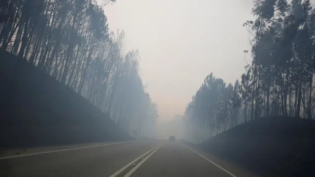 ஞாயிற்றுக்கிழமை ஐசி8 வாகன வழியில், காட்டுத் தீயால் ஏற்பட்ட அழிவு தெளிவாக தெரிந்தது,