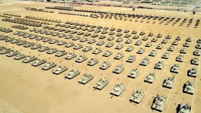 Jinsiy olatni va mushukning yalangoch fotosuratlari