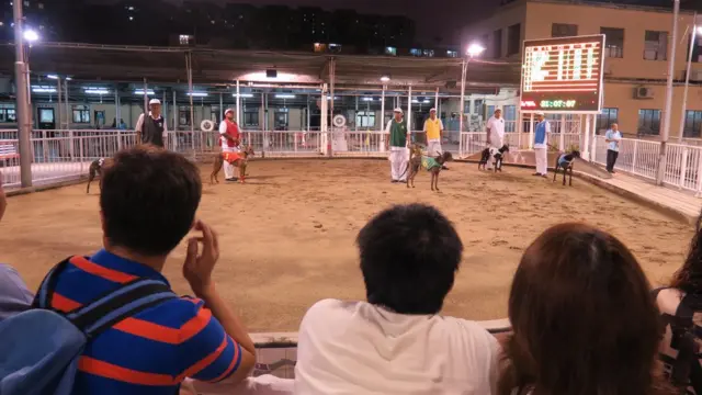 狗迷在沙圈查看參賽狗只狀態（BBC中文圖片23/6/2018）