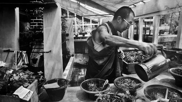 বাগানের কাজে ব্যস্ত