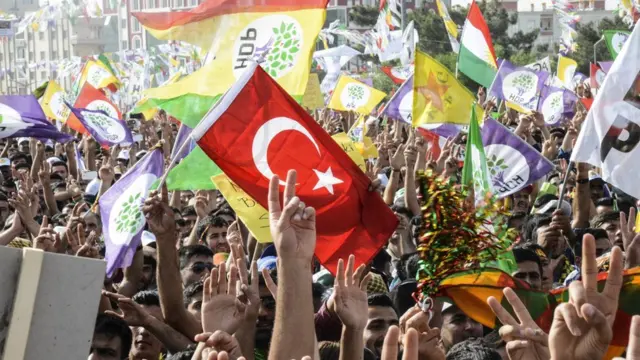 HDP gösterisi - 2015