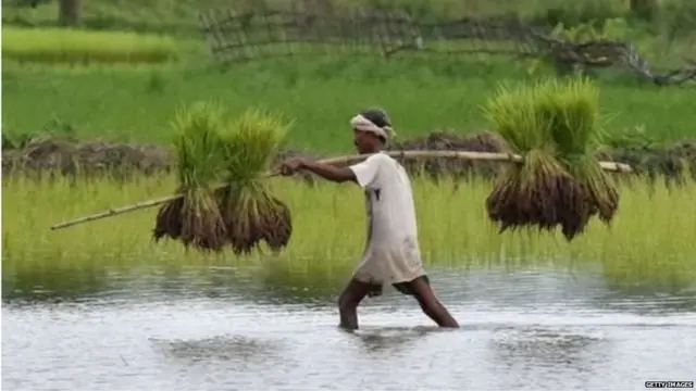 किसान की ख़ुदकुशी
