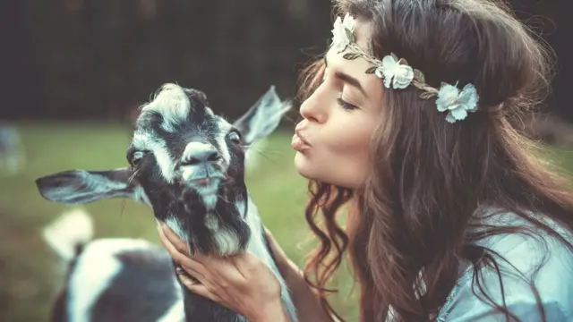 Девушка на природе пытается поцеловать козу