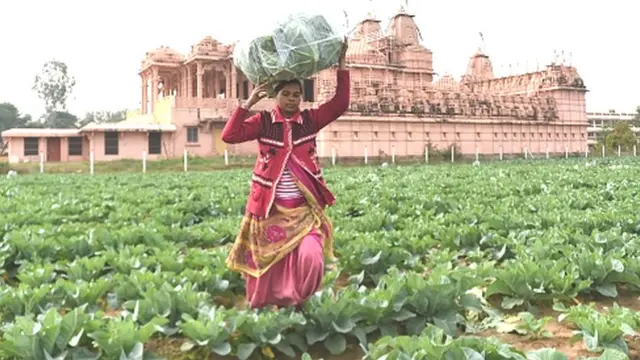 ખેડૂત મહિલા