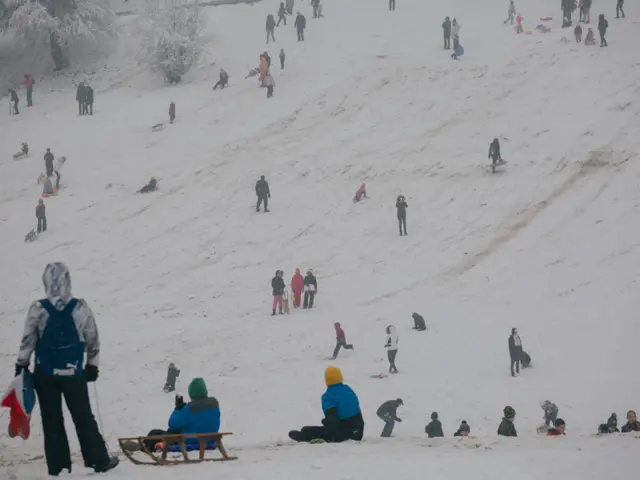 sneg, zima, košutnjak, sankanje