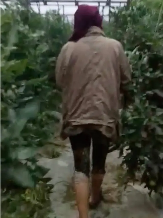 Porno shafqatsiz ayol hukmronligi