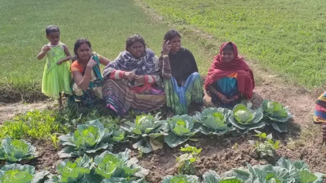 मुसहर महिलाओं और खेती की ये जुगलबंदी, इनके परिवारों को बदल रहा है