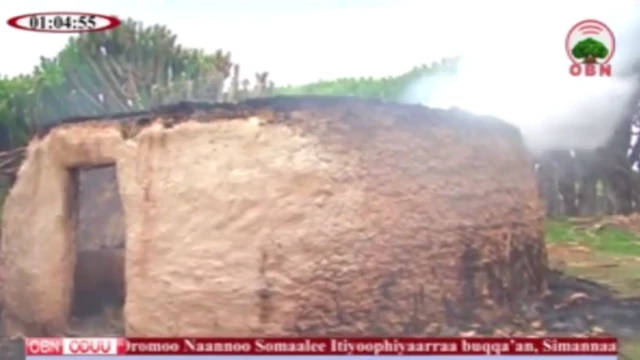 ይቃፀል ዘሎ ገዛ