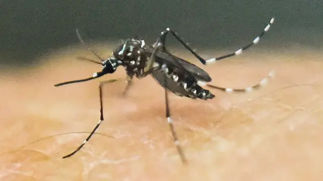 ஜெய்பூரில் ஸீக்கா தொற்று